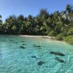 Tropical beach with clear turquoise water.